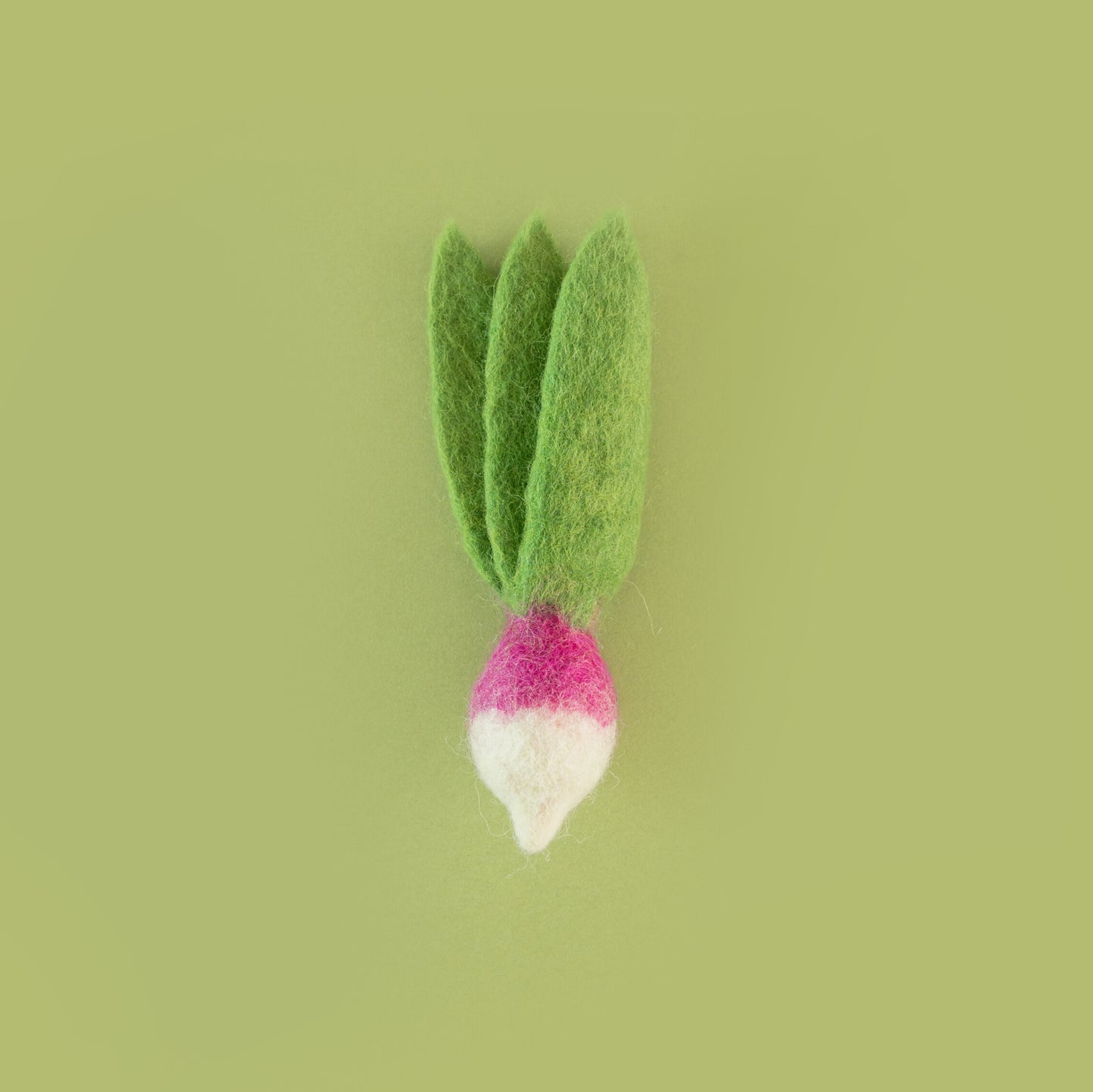 Radish